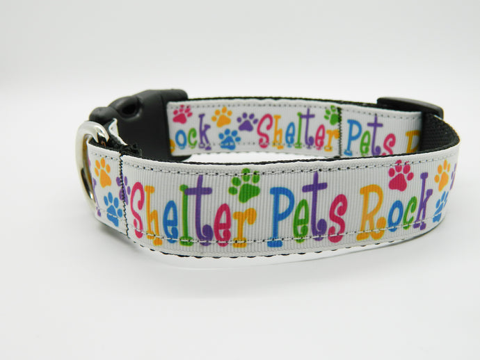 Shelter Pets Rock Collar